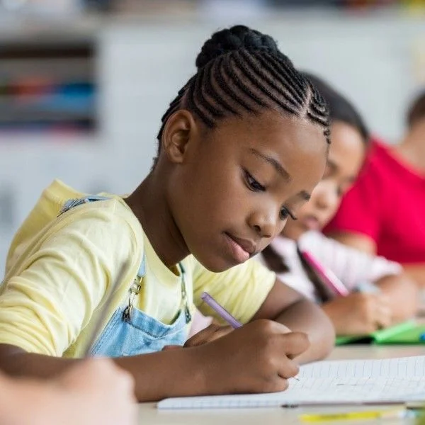 South African learners in an online session